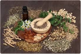 Mother Tincture Production