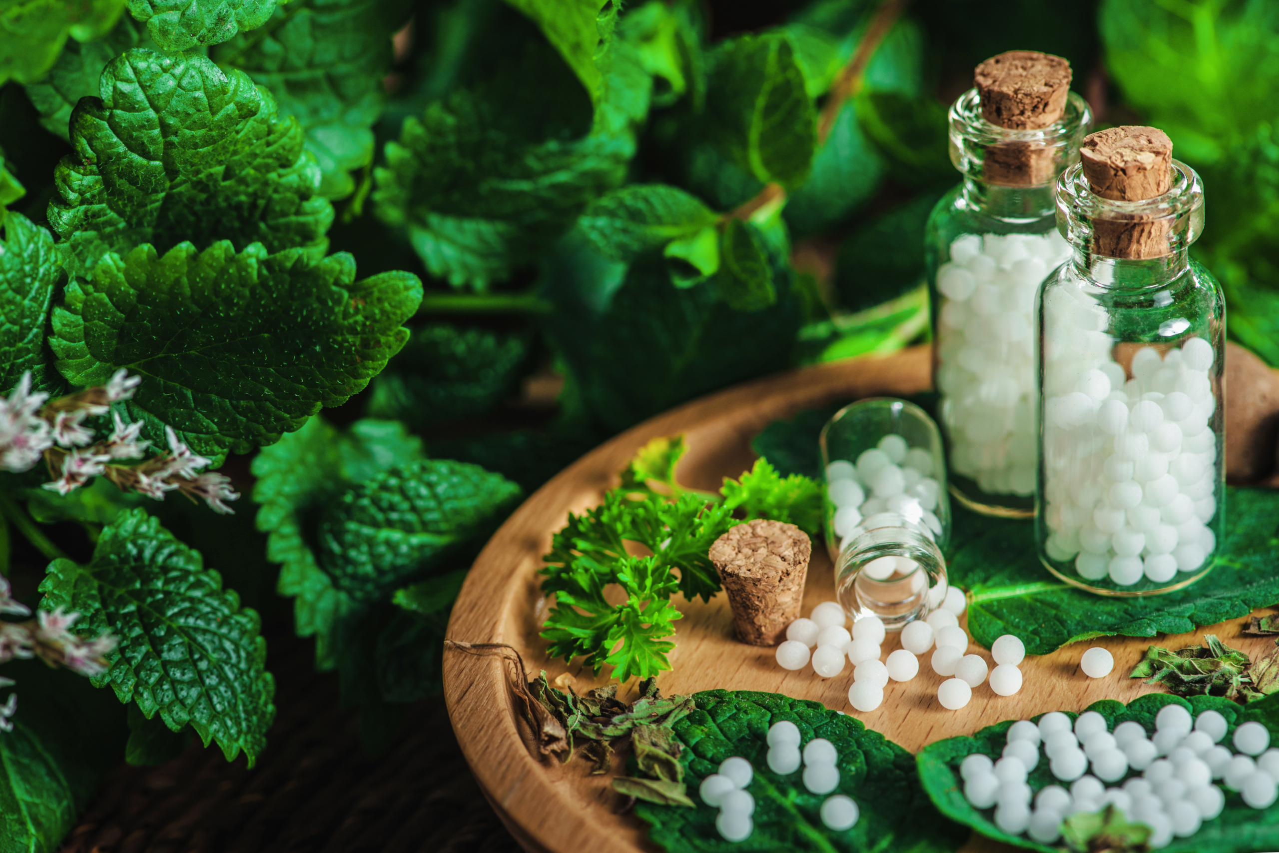 Potentization &amp; Dilutions